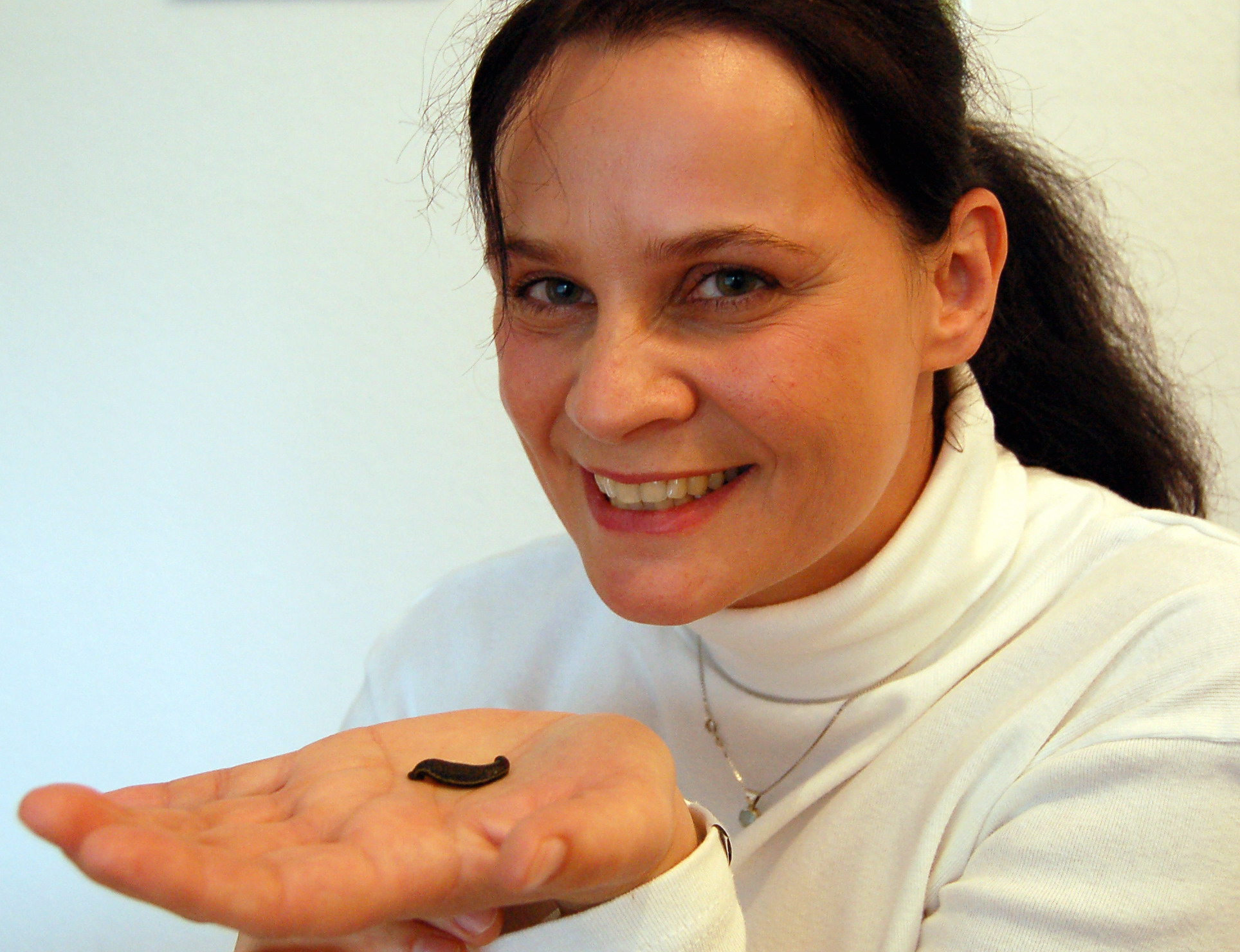 copyright 2006 Jens Lintel