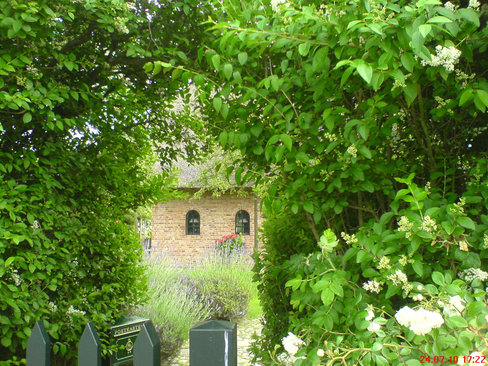 copyright 2010 Doris Kräutner