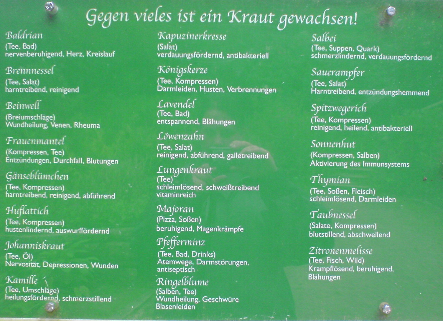 copyright 2010 Doris Kräutner